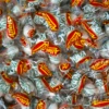 Allen's Kool Mints Wrapped -AU Candy Sales 2024 allens kool mints wrapped 2