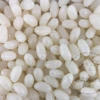 Classic Jelly Beans White Vanilla 1kg Bag -AU Candy Sales 2024 allseps jelly beans white