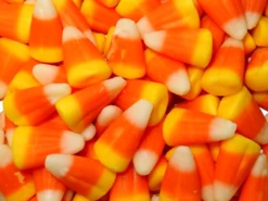 Zachary Candy Corn