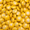 M&Ms Gold -AU Candy Sales 2024 mnms gold 3