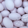Mauve/Light Purple Sugared Almonds -AU Candy Sales 2024 purple sugared almonds 15