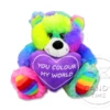 Rainbow Bear With Heart 18cm -AU Candy Sales 2024 rainbow bear colour my world 23cm 1