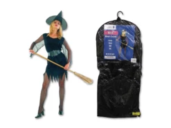 Witch Adult Costume